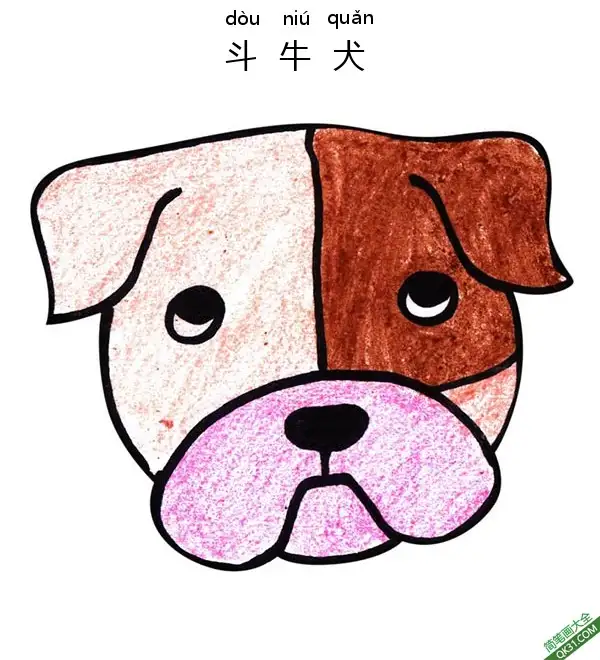 如何给孩子画一张斗牛犬脸Bull Dog Face简笔画涂色画 – 为儿童和成人提供的免费可打印简笔画涂色画