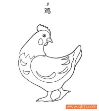 鸡-hen|简笔画|素描|涂鸦|涂颜色