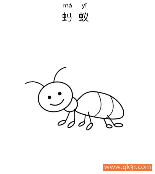 免费 简单 小动物 蚂蚁 ant 简笔画涂色页