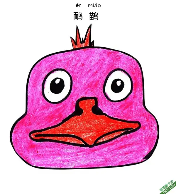 免费 怎样教孩子画一张小鸟、鸸鹋脸Emu 简笔画涂色页