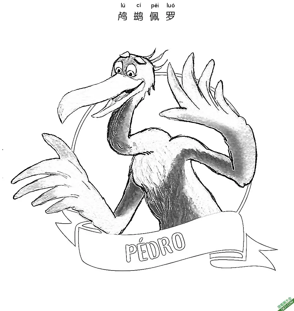 免费 鸬鹚佩罗,不一样的卡梅拉,les p'tites poules,Pedro 简笔画涂色页