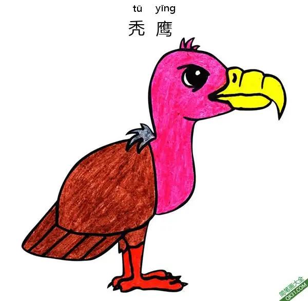 免费 怎样教孩子们一步步画一个 卡通 秃鹰 Vulture 简笔画涂色页