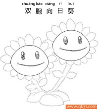 植物大战僵尸-双头向日葵|双胞向日葵|简笔画|素描|涂鸦|涂颜色
