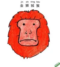 如何为孩子们画一张金狮狨猴子脸Golden Lion Tamarin Face – 免费可打印简笔画涂色画