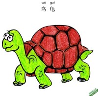 怎样教孩子们一步步画一个 卡通乌龟Tortoise|简笔画|素描|涂鸦|涂颜色