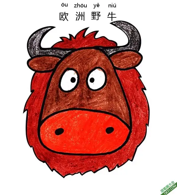 免费 怎样教孩子们一步步画一个欧洲野牛脸European Bison 简笔画涂色页