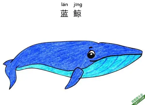 免费 怎样教孩子们一步步画一个 卡通 蓝鲸 鲸鱼 Blue-Whale 简笔画涂色页