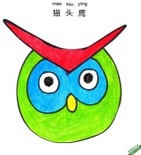 怎样教孩子画猫头鹰脸Owl Face|简笔画|素描|涂鸦|涂颜色