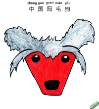 如何为孩子们画一个中国冠毛狗脸Chinese Crested|简笔画|素描|涂鸦|涂颜色