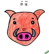 如何给孩子画野猪脸Wild Swine Face – 免费可打印简笔画涂色画