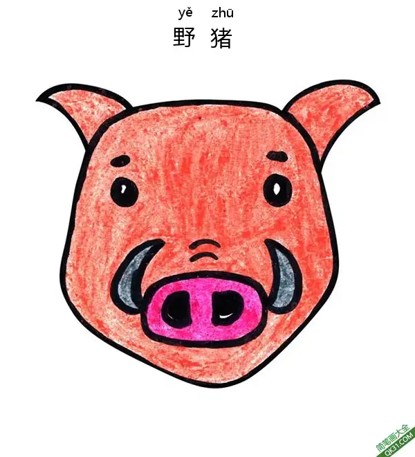 免费 如何给孩子画野猪脸Wild Swine Face 简笔画涂色页