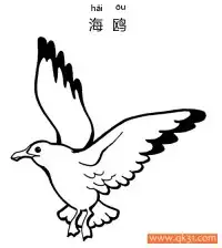 海鸥-Seagull – 免费可打印简笔画涂色画