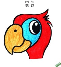 怎样教孩子画鹦鹉脸Parrot Face|简笔画|素描|涂鸦|涂颜色