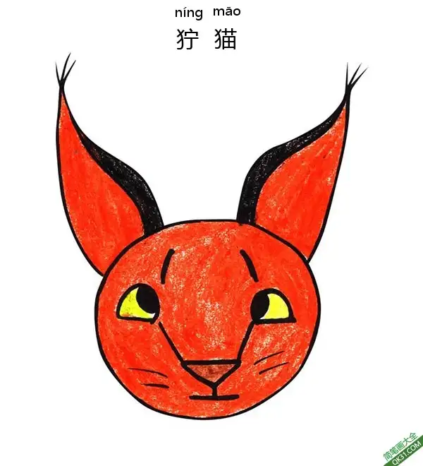 如何给孩子画一张狞猫脸Caracal face简笔画涂色画 – 为儿童和成人提供的免费可打印简笔画涂色画