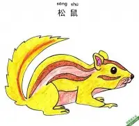 怎样教孩子们一步步画一个 卡通松鼠 Chipmunk – 免费可打印简笔画涂色画