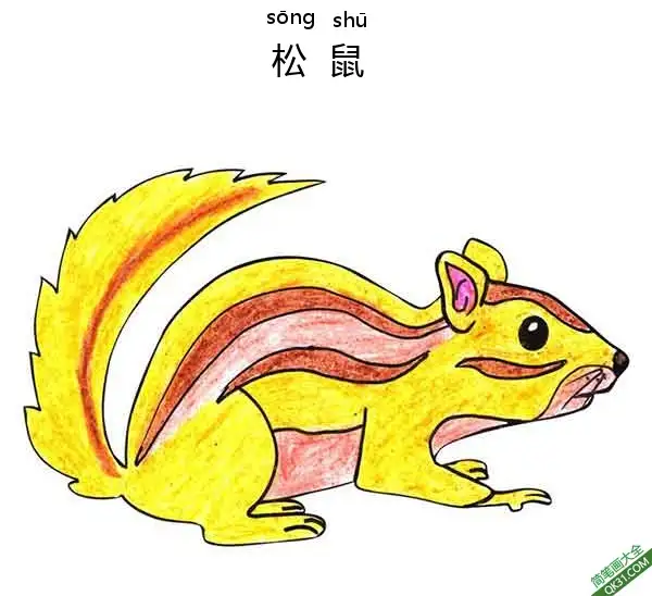 免费 怎样教孩子们一步步画一个 卡通松鼠 Chipmunk 简笔画涂色页