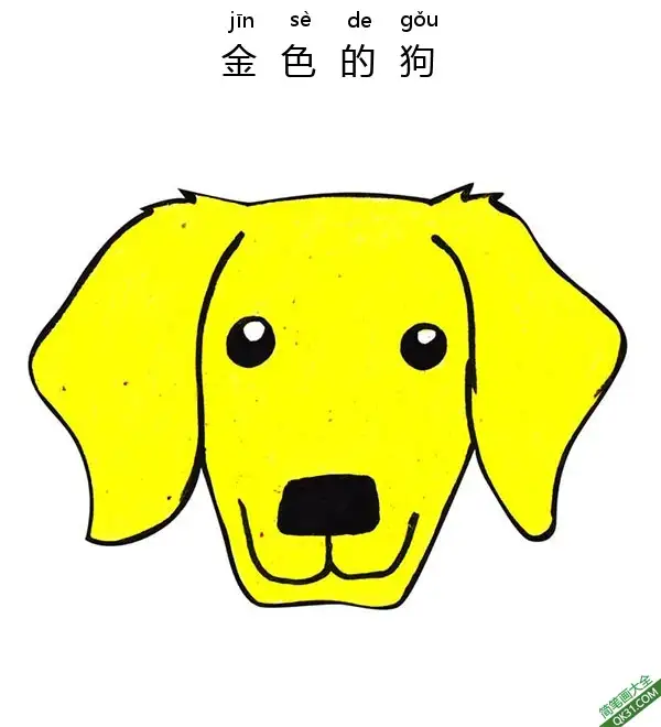 如何为孩子们画一张金色的狗脸Golden Retrivever Dog Face简笔画涂色画 – 为儿童和成人提供的免费可打印简笔画涂色画