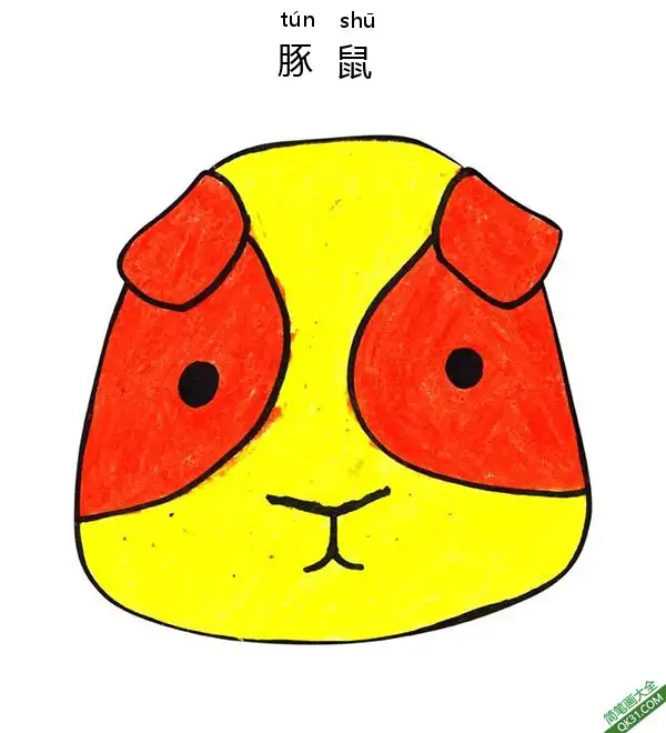 免费 怎样教孩子们一步步画一个豚鼠 天竺鼠 Guinea 简笔画涂色页