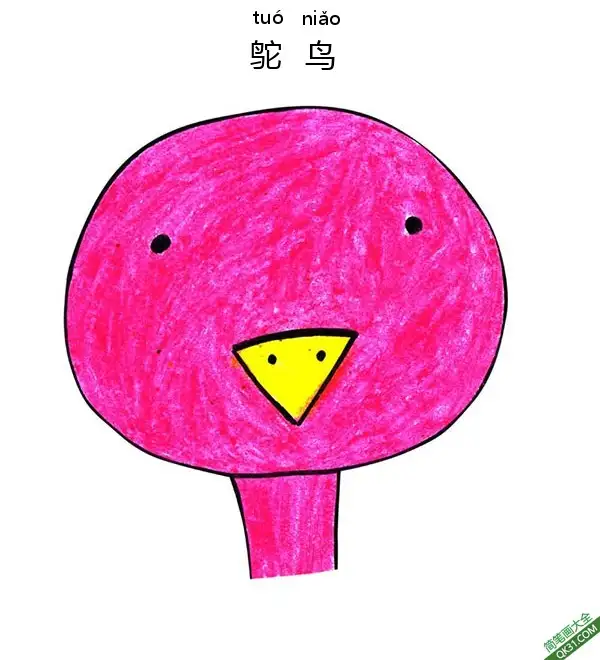 免费 怎样教孩子画鸵鸟脸Ostrich Face 简笔画涂色页