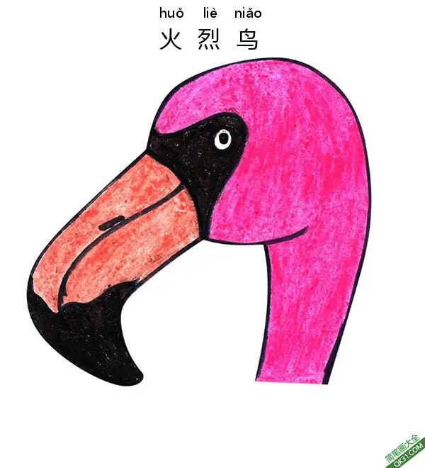 免费 如何给孩子画火烈鸟脸Phoenicopteridae Flamingo Face 简笔画涂色页