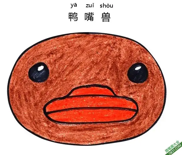 免费 如何教孩子画鸭嘴兽脸Platypus Face 简笔画涂色页