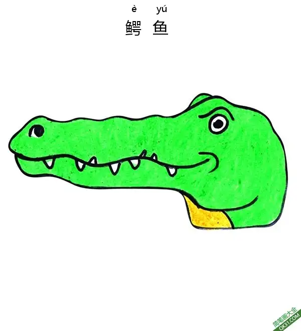 免费 如何给孩子画鳄鱼脸Crocodile Face 简笔画涂色页